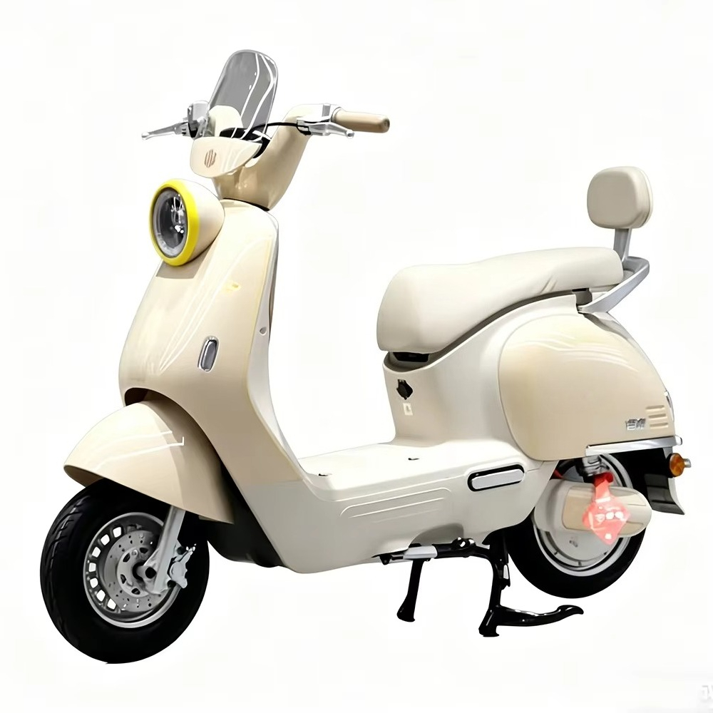 Elektryczny motocykl EER dla d – Brake Disc Motorcycle recenzja i cena